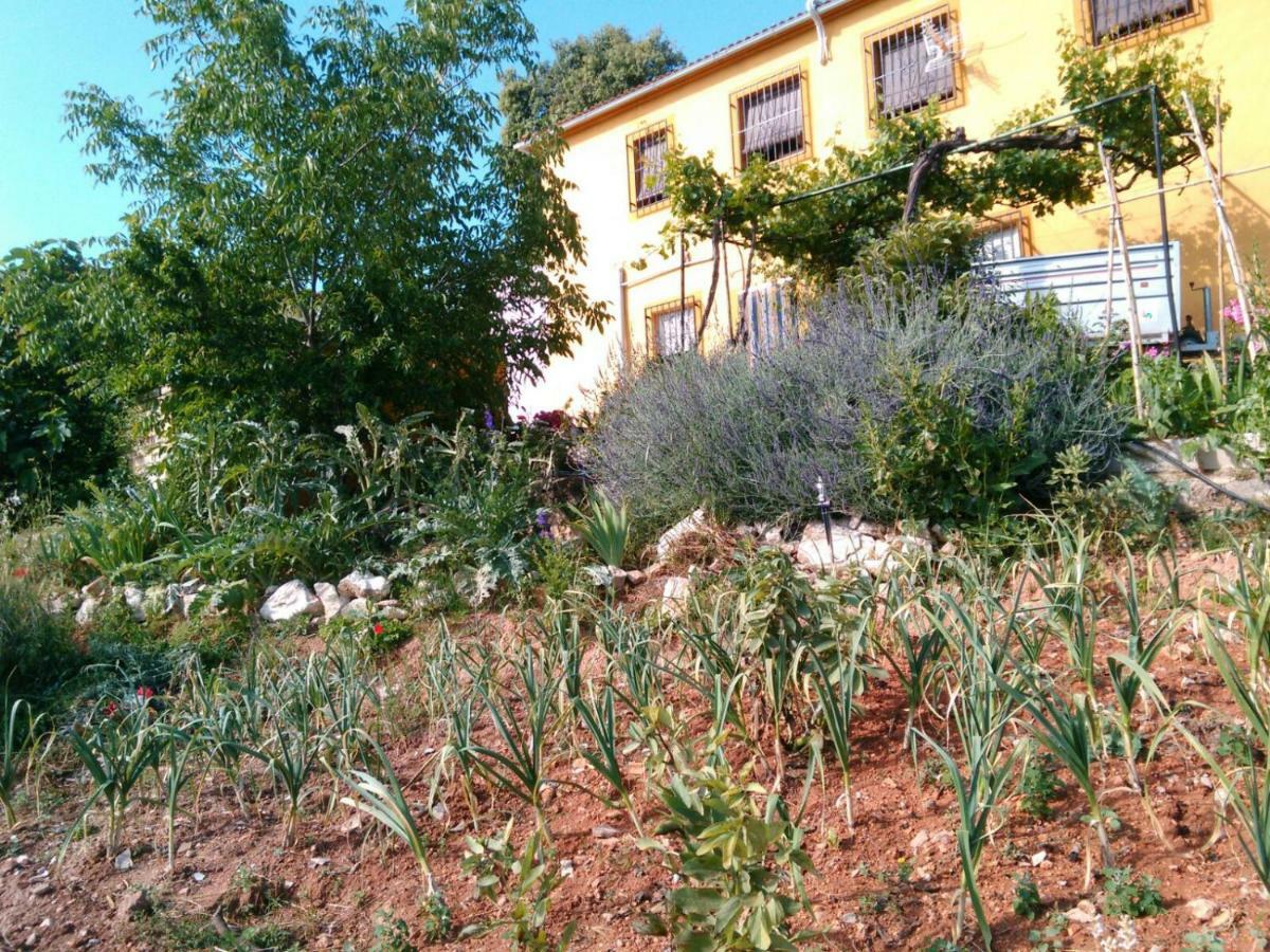 Вилла Cortijo De La Cruz Иснахар Экстерьер фото